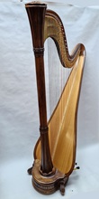 salvi diana